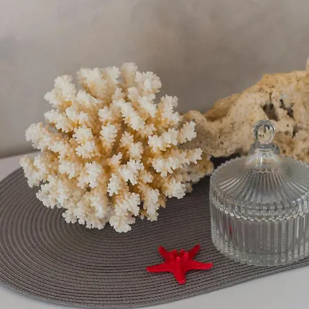 Coral *