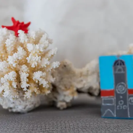 Coral * Ντουμπρόβνικ