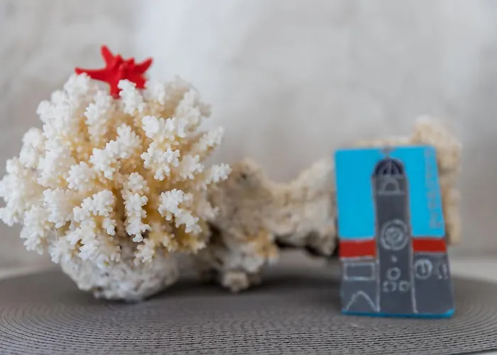 Coral * Дубровник